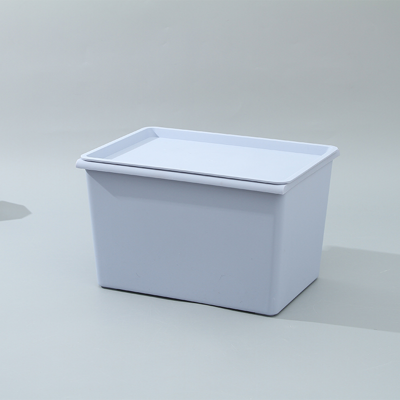 Plastic Storage Box With Lid Large, Storage Box With Lid Large